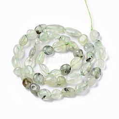 Perline Prehnite naturale fili&nbsp;G-R465-50B