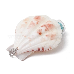 7 pz 7 stili conchiglia di capesante naturale e pendenti stella marina turchese sintetico tinto&nbsp;PALLOY-JF03564-02