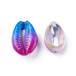 Perle di conchiglia di ciprea&nbsp;SHEL-X0004-04