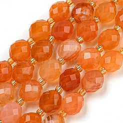 Fili di perline di agata naturale arancione del Botswana&nbsp;G-N342-45