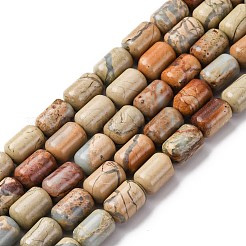 Natürliche Aqua Terra Jaspis Perlen Stränge&nbsp;G-L624-C03-12x8mm