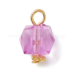 Pendentifs en acrylique transparent &nbsp;PALLOY-JF04258-01