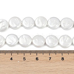 Brins de perles imitation perle en porcelaine électrolytique&nbsp;BSHE-Z009-02B