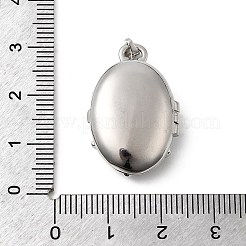 Messing Micro Pave klare Zirkonia Medaillon Anhänger&nbsp;X-KK-L262-07P