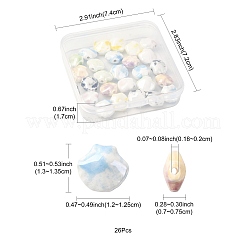 26 Stück 6 Farben Muschelförmige&nbsp;PORC-FS0001-35