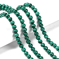 Chapelets de perles en malachite naturelle&nbsp;G-O166-07A-6mm