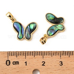 Natürliche Paua-Muschel-Schmetterlingsanhänger&nbsp;KK-G538-15G-01