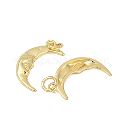 Messing Anhänger & Charms&nbsp;ZIRC-I044-43G