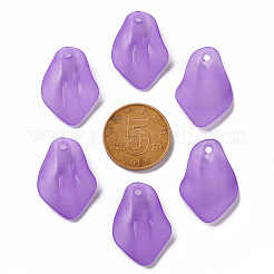 Pendentifs acryliques mats transparents&nbsp;MACR-S371-03A-747
