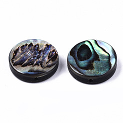 Natürliche Abalone-Muschel / Paua-Muschelperlen&nbsp;SSHEL-T014-14C