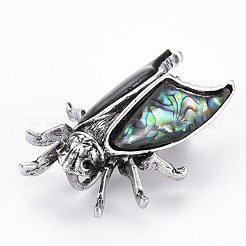 Pin spilla conchiglia abalone naturale a forma di cicala / conchiglia paua&nbsp;G-N333-007B-RS