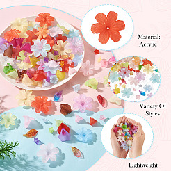 230pcs 6 Arten transparente Acrylperlen&nbsp;OACR-TA0004-39