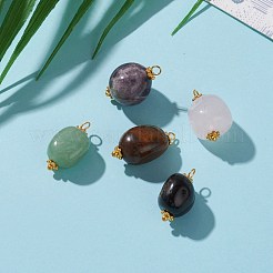 Pepite ciondoli di pietre preziose miste naturali&nbsp;PALLOY-JF00603