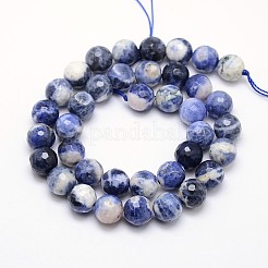 Perline sodalite naturale fili&nbsp;G-L149-10mm-01