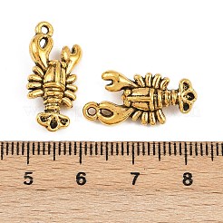 Tibetischer stil Aluminium Anhänger & Charms&nbsp;FIND-Z093-01AG