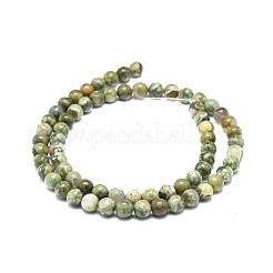 Riolite naturale perline di diaspro fili&nbsp;G-F674-03A-6mm