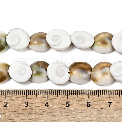 Natürliche Shiva-Auge-Muschelperlenstränge&nbsp;SHEL-G021-01A