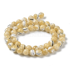 Fili di perline di conchiglia trochus naturale&nbsp;BSHE-P033-03B