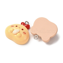 Pendentifs animaux en résine opaque&nbsp;RESI-Z043-05P
