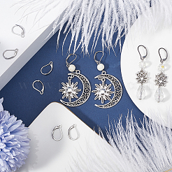 Boucles d'oreilles à levier en acier inoxydable 304&nbsp;STAS-SP0001-05A