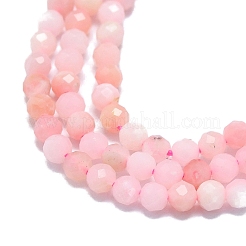 Natürliche rosa Opalkorne Stränge&nbsp;G-G106-C04-02
