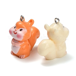 Pendentifs en résine opaque&nbsp;CRES-B039-06