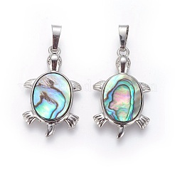 Abalone Muschel / Paua Muschel Anhänger&nbsp;SSHEL-L008-62A
