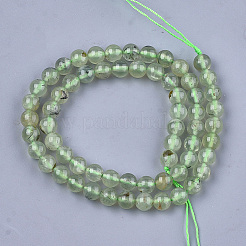 Perline Prehnite naturale fili&nbsp;G-S333-6mm-032
