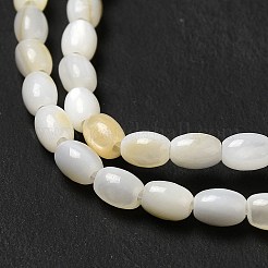 Filo di perline di conchiglia d'acqua dolce naturale&nbsp;BSHE-E026-16A
