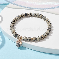 Natürliche dalmatinische Jaspis runde Perlen-Stretch-Armbänder&nbsp;BJEW-JB09727-02