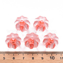Perles en acrylique transparente&nbsp;TACR-S154-19A-52