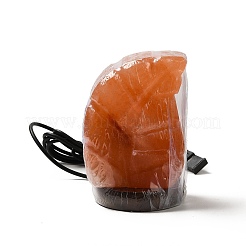 USB-Lampe aus natürlichem Himalaya-Steinsalz&nbsp;DJEW-P002-02A