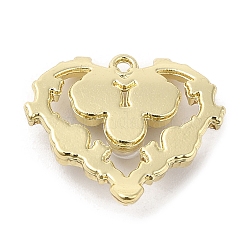 Pendentifs en alliage peint par pulvérisation&nbsp;LS-PALLOY-D019-11G-02