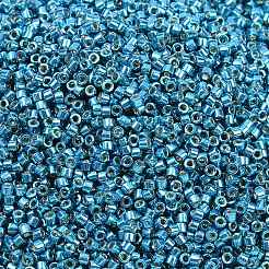Perles miyuki delica&nbsp;X-SEED-J020-DB2513
