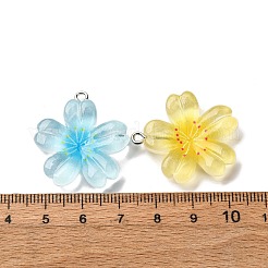 Pendentifs en résine transparente&nbsp;RESI-A046-05B