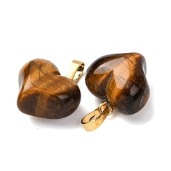 Pendentifs en œil de tigre naturel&nbsp;G-B188-04G-05