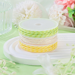 Cordon tressé en polyester 10.5 couleurs de 3 m&nbsp;OCOR-TA0003-83B