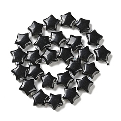 Natürliche schwarze Obsidian Perlen Stränge&nbsp;G-NH0005-022