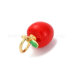 Messing Emaille Anhänger / charms&nbsp;KK-Q098-33G-A