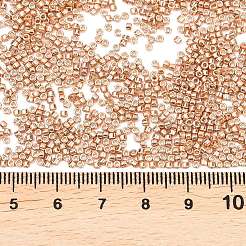 Perles miyuki delica&nbsp;SEED-X0054-DB2518