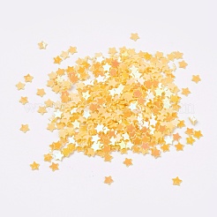 Accessori ornamentali paillette / paillettes in plastica&nbsp;PVC-G001-05B