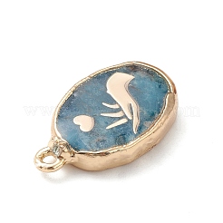 Natürliche Apatit Pendants&nbsp;G-K333-01K