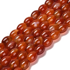Chapelets de perles d'agate naturelle&nbsp;G-B079-E01-01A
