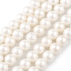 Shell-Perle Perle Stränge&nbsp;BSHE-L026-03-6mm