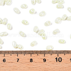 Colori opachi lustro perline di semi di vetro&nbsp;SEED-T006-02J