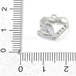 Breloques en laiton avec zircone cubique de micro pave&nbsp;ZIRC-P122-01C-P01
