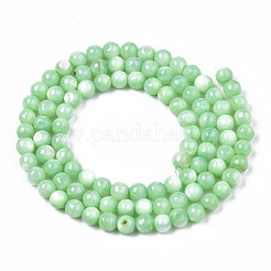 Naturali di acqua dolce perline shell fili&nbsp;SHEL-N003-24-B03