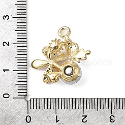 Legierung rhinestone-anhänger&nbsp;FIND-H055-02G