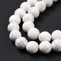 Fili di perline howlite naturale&nbsp;G-E571-29B