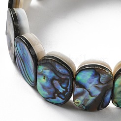 Natürliche Abalone Muschel / Paua Muschel Stretch Armbänder&nbsp;BJEW-L613-24-01